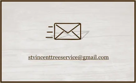 stvincenttreeservice@gmail.com